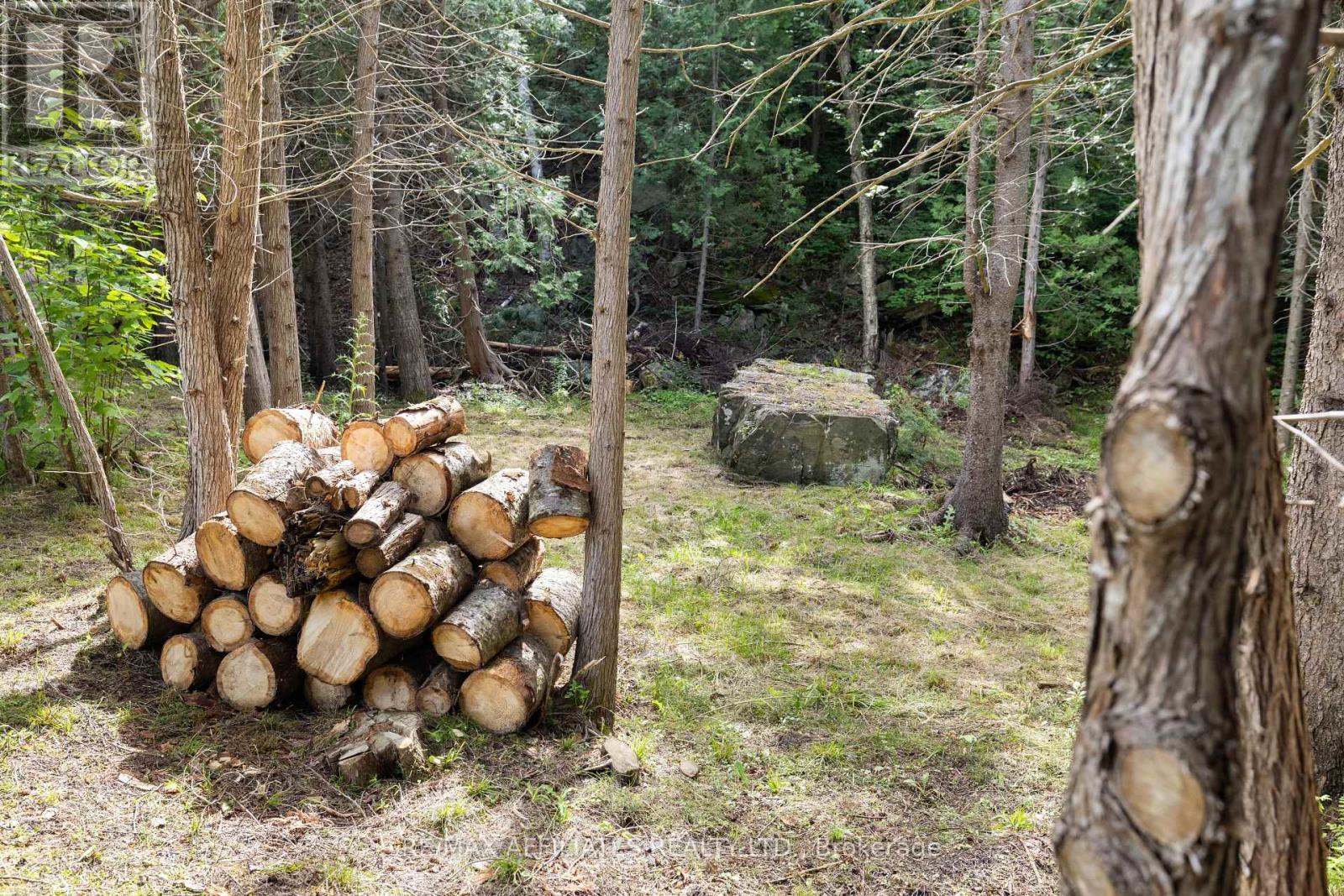 24163 Highway 7 Highway, Frontenac, Ontario  K0H 2P0 - Photo 38 - X12308774