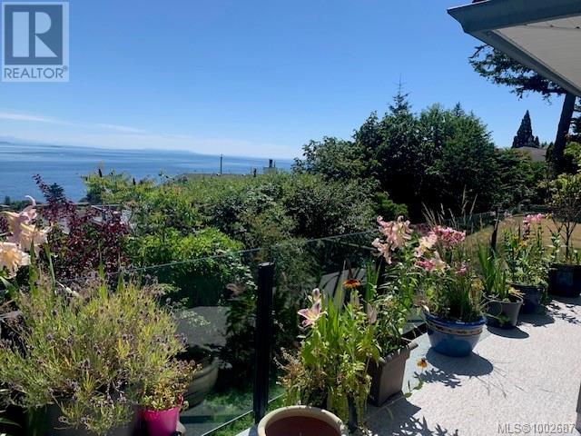 253 Alder St S, Campbell River, British Columbia  V9W 2M9 - Photo 18 - 1002687