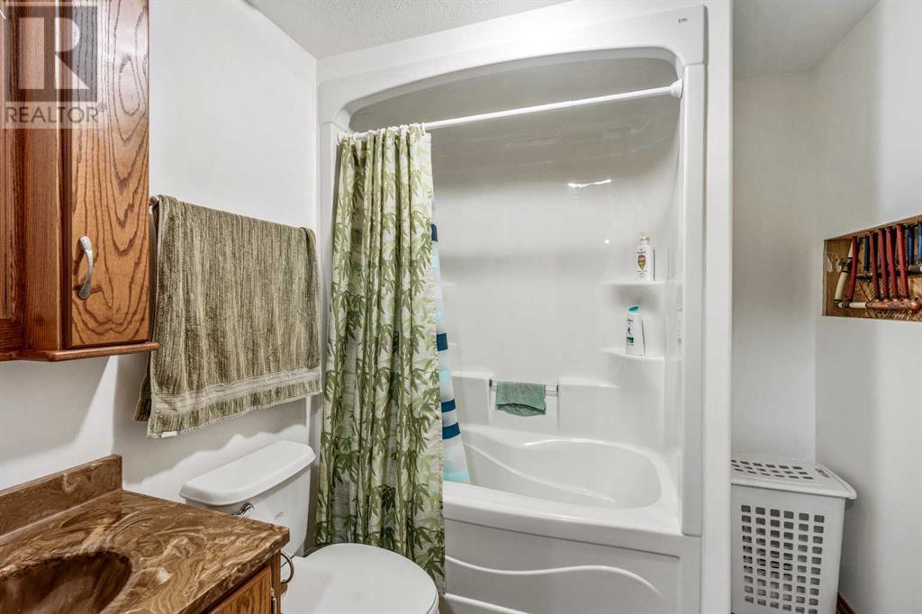 123047 Township Road 102, Burdett, Alberta  T0k 0J0 - Photo 17 - A2241934