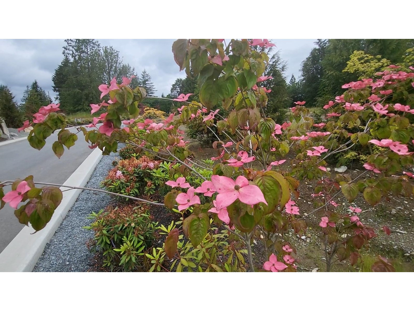 12041 Coughlin Court, Mission, British Columbia  V4S 1C3 - Photo 34 - R3032387