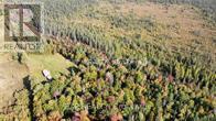 Pt Lt 3 Cedar Grove Road, Brudenell, Ontario  K0J 2E0 - Photo 26 - X12127481