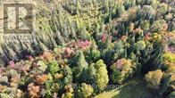 Pt Lt 3 Cedar Grove Road, Brudenell, Ontario  K0J 2E0 - Photo 27 - X12127481