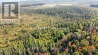 Pt Lt 3 Cedar Grove Road, Brudenell, Ontario  K0J 2E0 - Photo 28 - X12127481