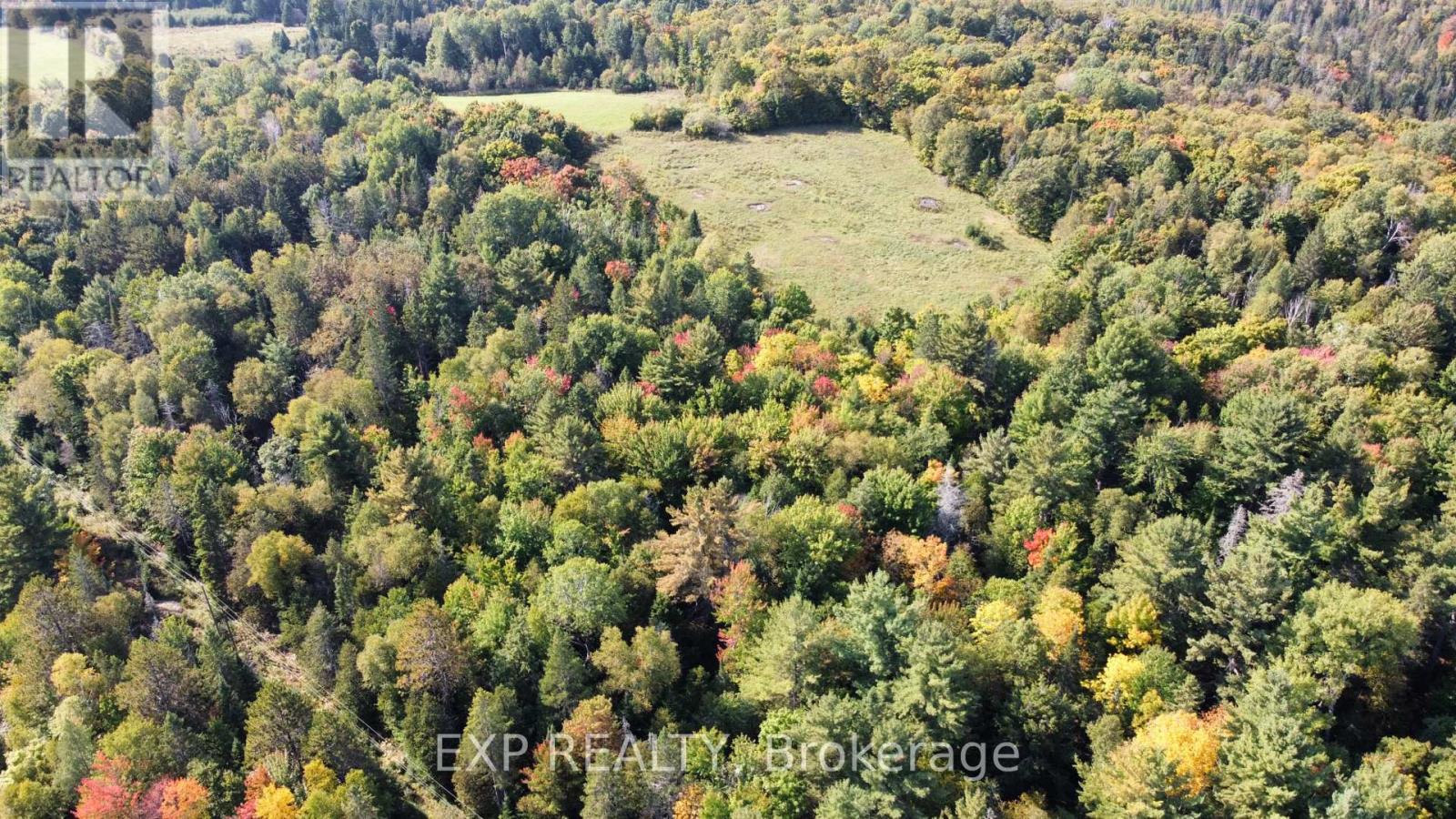 Pt Lt 3 Cedar Grove Road, Brudenell, Ontario  K0J 2E0 - Photo 20 - X12127481