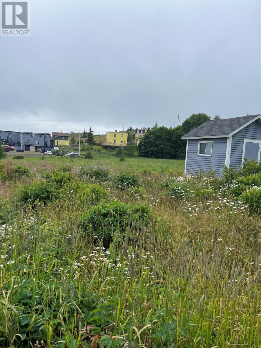 0 Local Road, Trinity East, Newfoundland & Labrador  A0C 2H0 - Photo 3 - 1288511