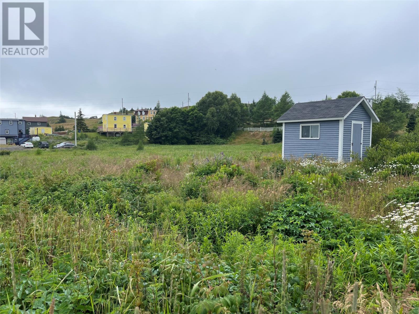 0 Local Road, Trinity East, Newfoundland & Labrador  A0C 2H0 - Photo 2 - 1288511