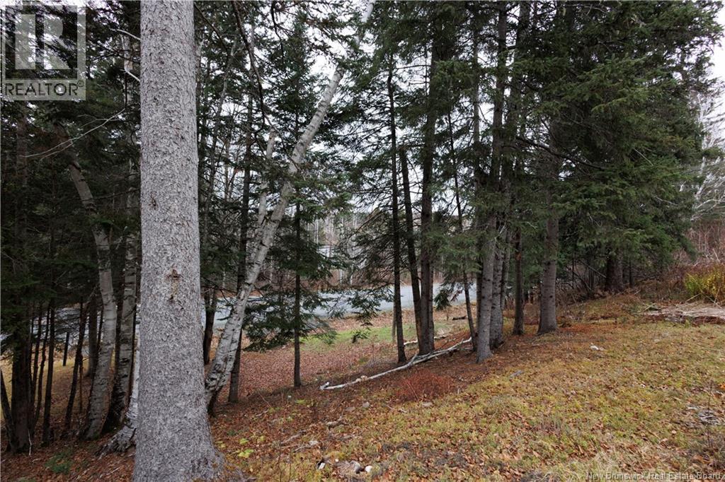 1336 Route 109, Red Rapids, New Brunswick  E7H 4H4 - Photo 5 - NB123907