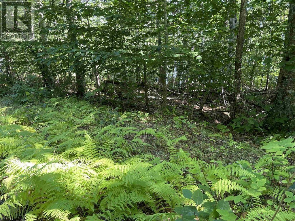 Lot 13a Natural Retreats Street, Henleys Point, Nova Scotia  B4V 8T8 - Photo 3 - 202506711