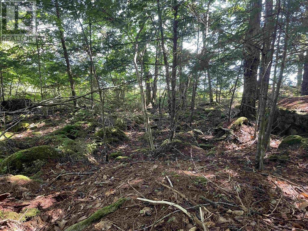 Lot 13a Natural Retreats Street, Henleys Point, Nova Scotia  B4V 8T8 - Photo 5 - 202506711