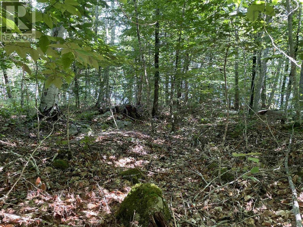 Lot 13a Natural Retreats Street, Henleys Point, Nova Scotia  B4V 8T8 - Photo 7 - 202506711