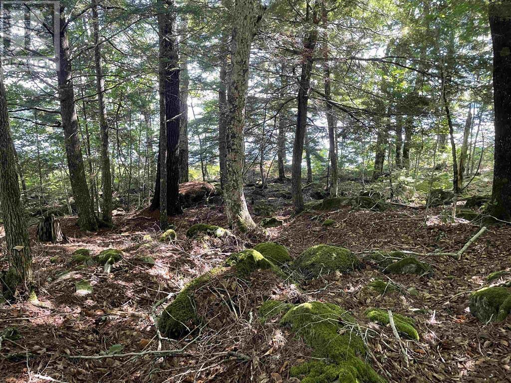 Lot 13a Natural Retreats Street, Henleys Point, Nova Scotia  B4V 8T8 - Photo 6 - 202506711