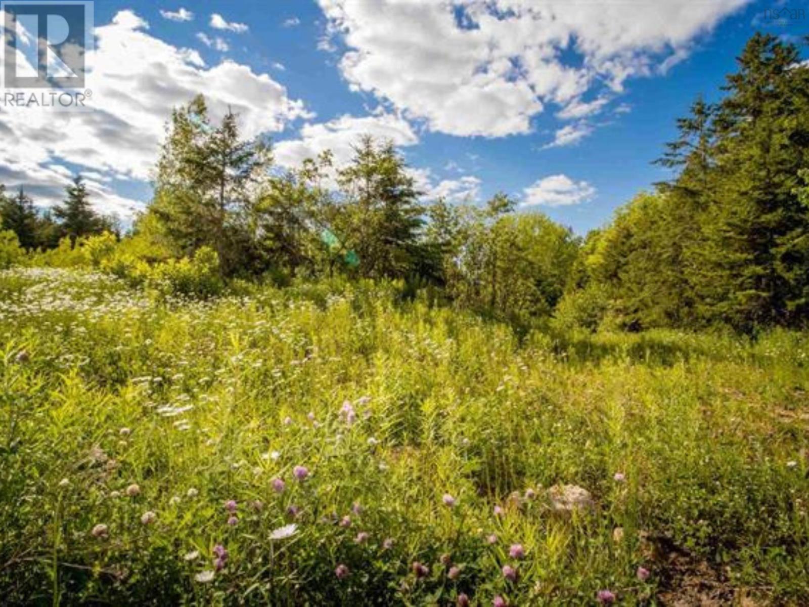 Lot A5 Aylesford Road, Lake Paul, Nova Scotia  B0P 1C0 - Photo 3 - 202507756