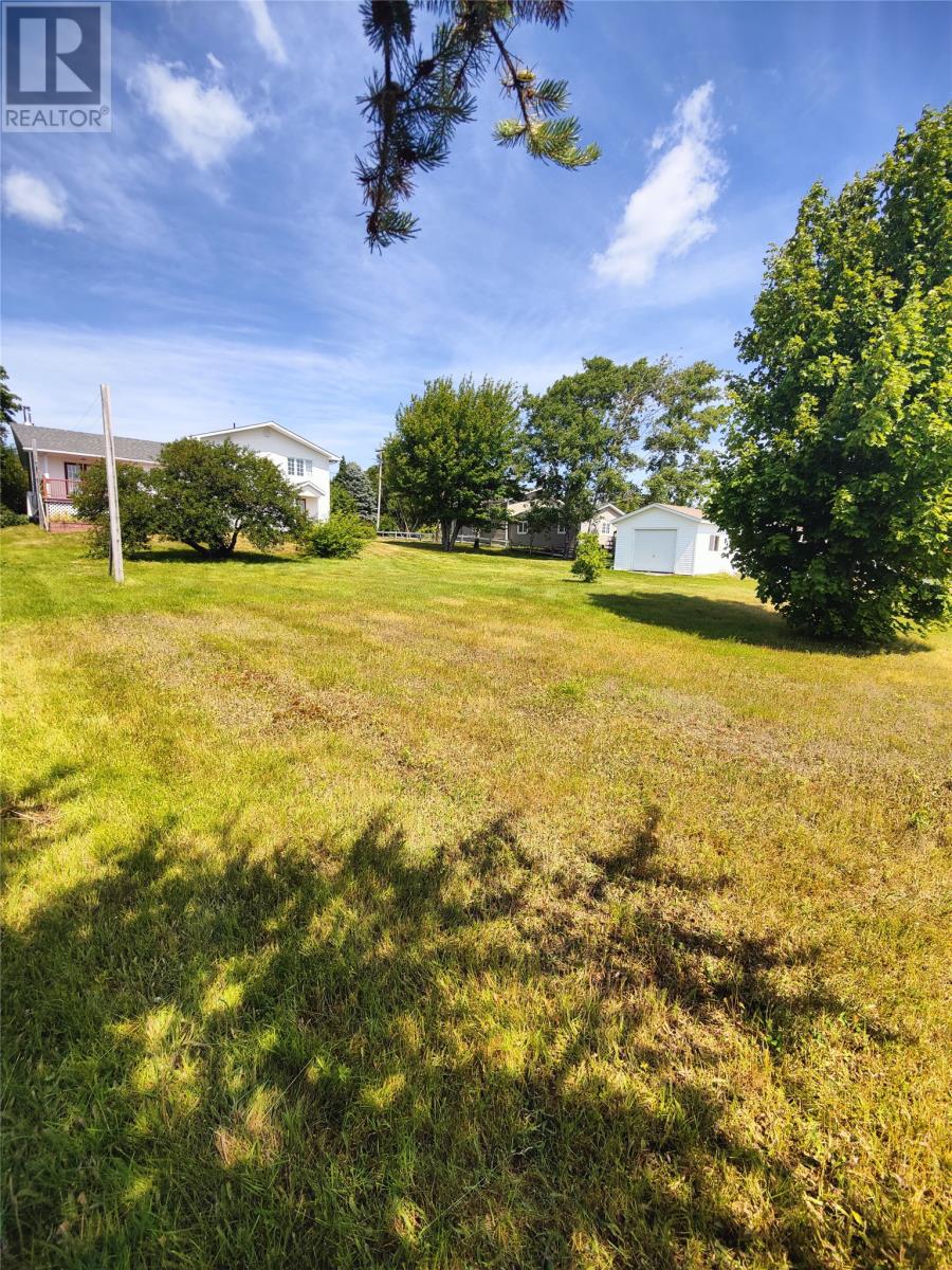 122 Main Street N, Glovertown, Newfoundland & Labrador  A0G 2L0 - Photo 34 - 1288464