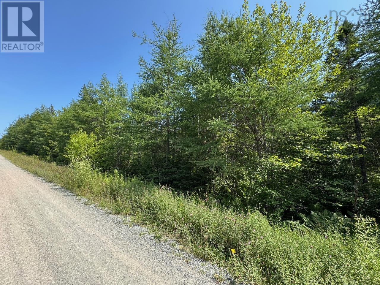 Lot 54 Highway 4, Kempt Road, Helmuts Lane, Cleveland, Nova Scotia  B0E 1J0 - Photo 12 - 202519191