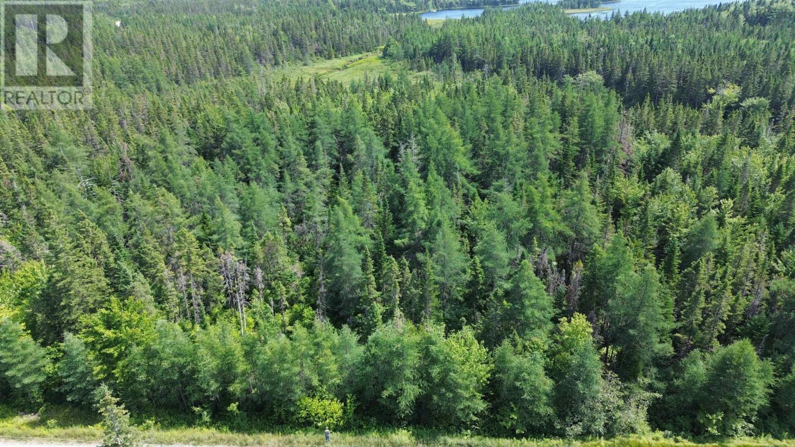 Lot 54 Highway 4, Kempt Road, Helmuts Lane, Cleveland, Nova Scotia  B0E 1J0 - Photo 3 - 202519191