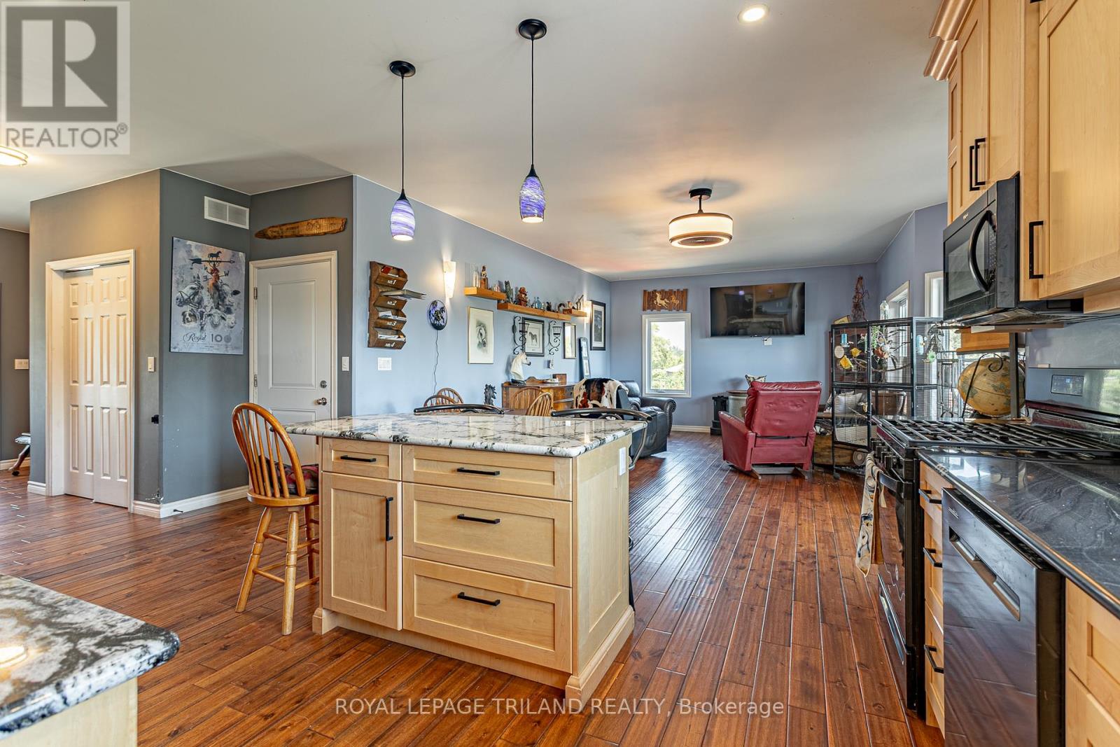 15240 Scott Line, Chatham-Kent, Ontario  N0L 1X0 - Photo 10 - X12316714