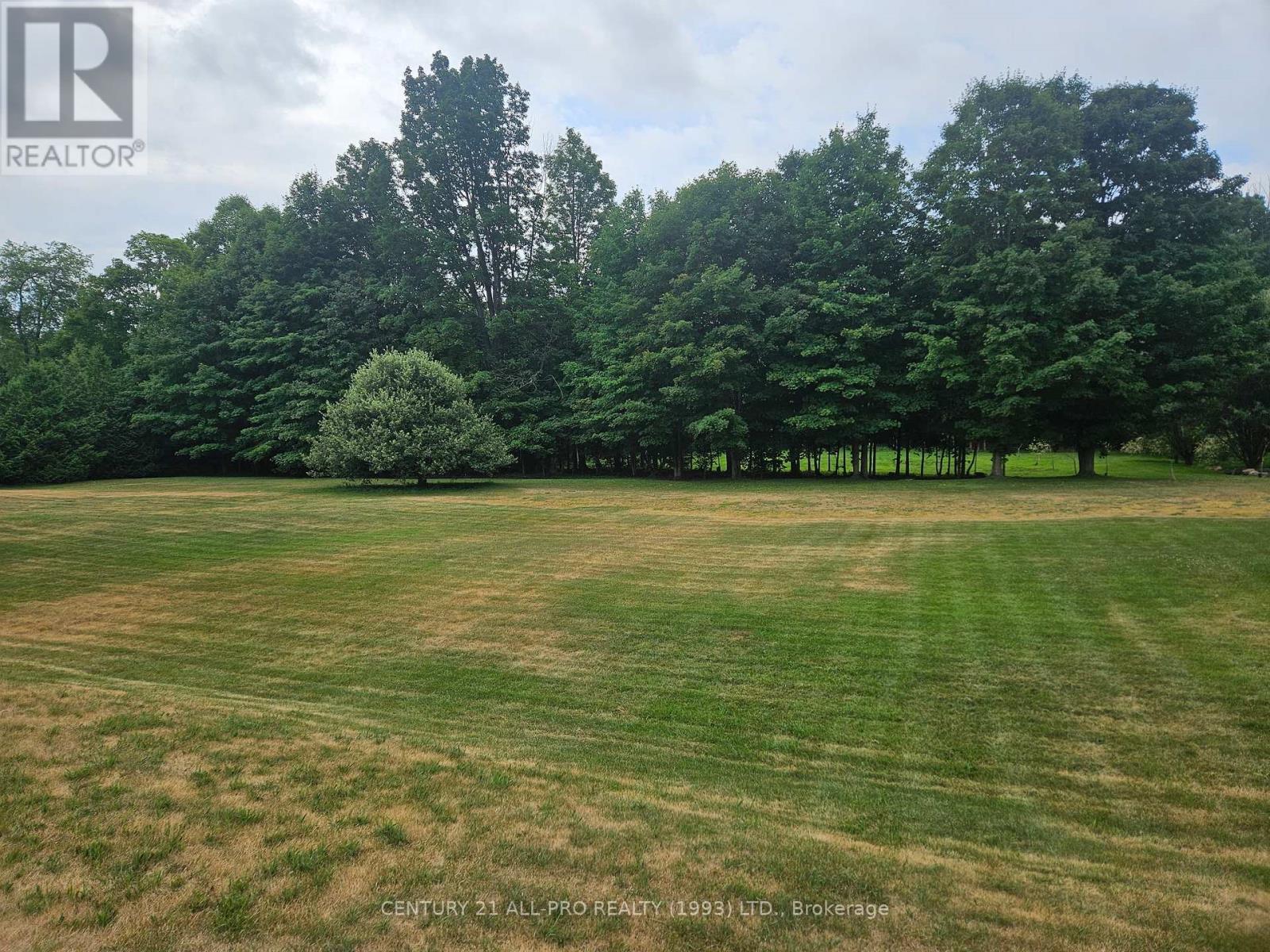 426 Gully Road, Alnwick/haldimand, Ontario K9A 4J8 - Photo 5 - X12072081