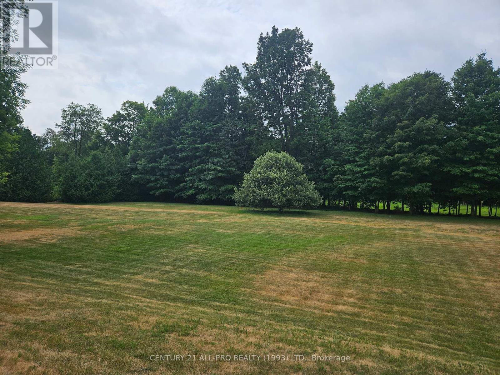 426 Gully Road, Alnwick/haldimand, Ontario K9A 4J8 - Photo 7 - X12072081