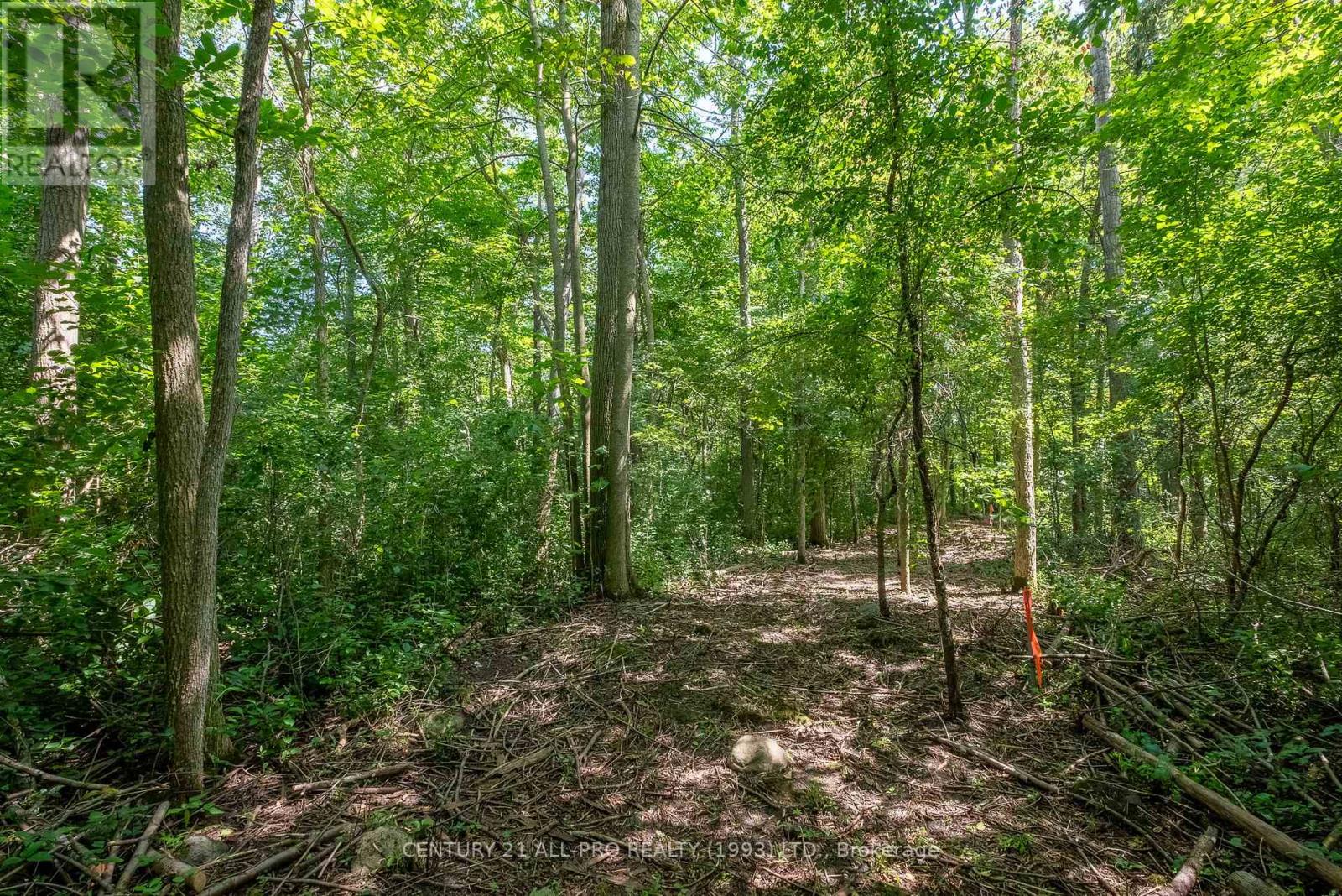 426 Gully Road, Alnwick/haldimand, Ontario K9A 4J8 - Photo 24 - X12072081