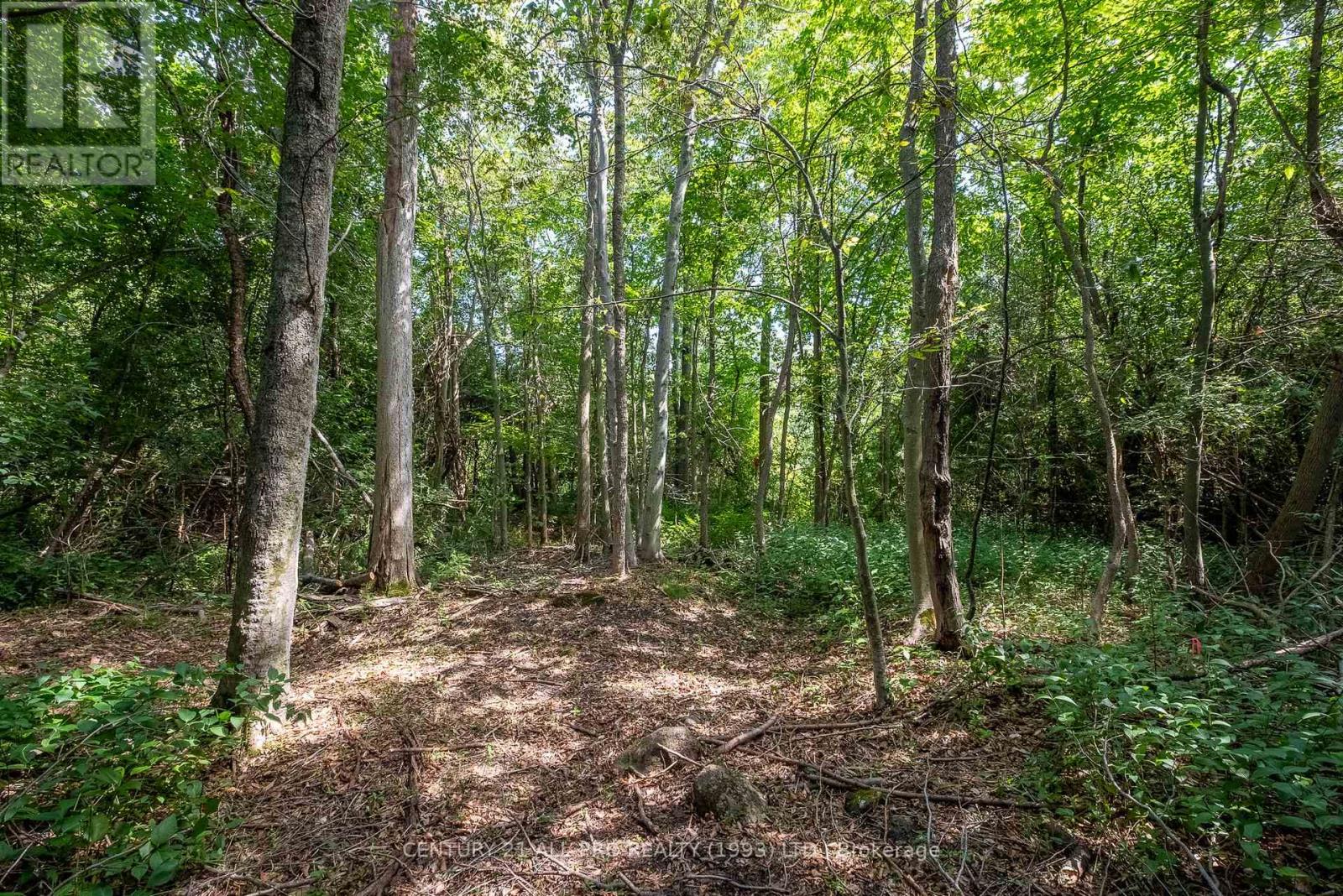 426 Gully Road, Alnwick/haldimand, Ontario K9A 4J8 - Photo 23 - X12072081