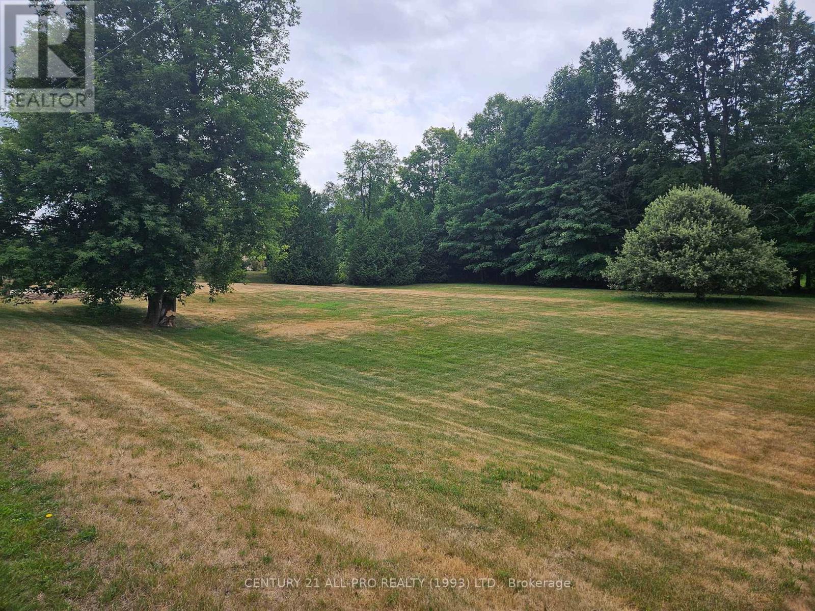 426 Gully Road, Alnwick/haldimand, Ontario K9A 4J8 - Photo 8 - X12072081