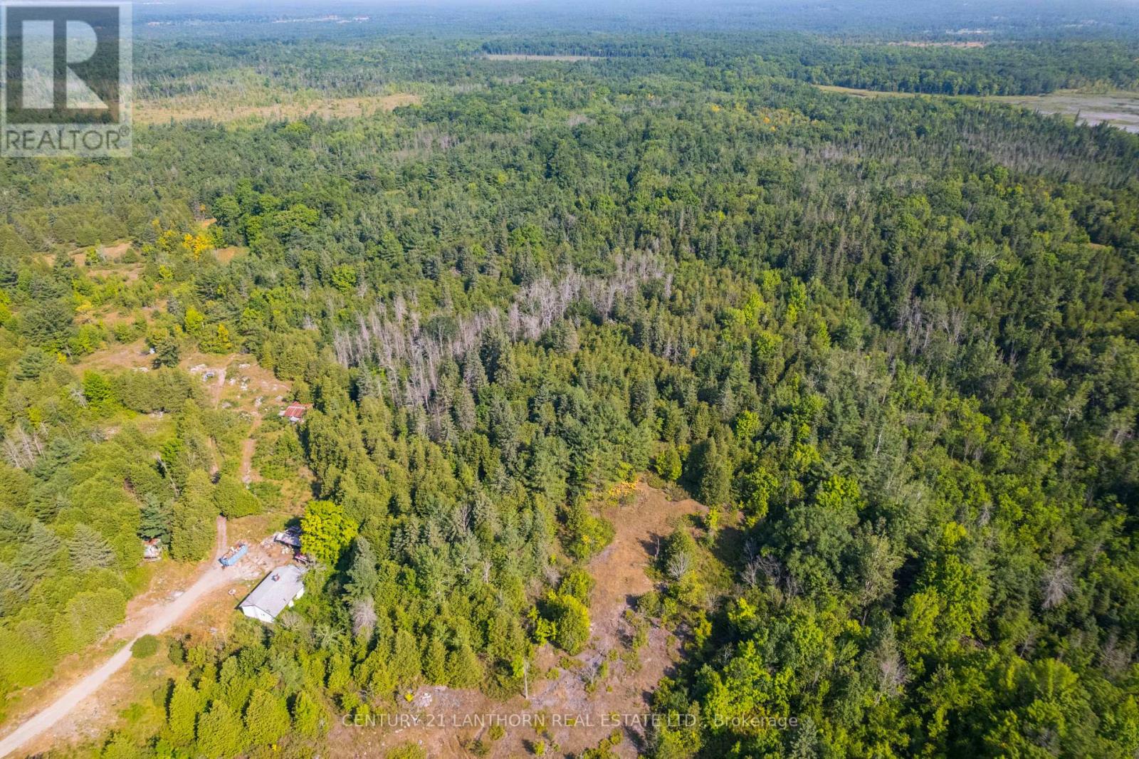 1163 Bateman Road, Stirling-Rawdon, Ontario K0K 3C0 - Photo 4 - X12316872