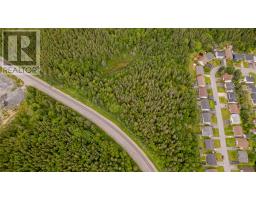 Lot 1 O'Connell Drive, Corner Brook, Newfoundland & Labrador