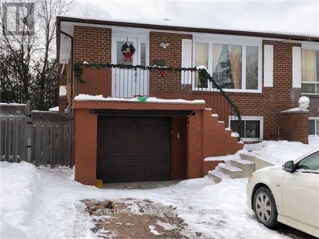 Basement - 12 Lorne Court, Brampton, Ontario  L6X 2P3 - Photo 1 - W12316739