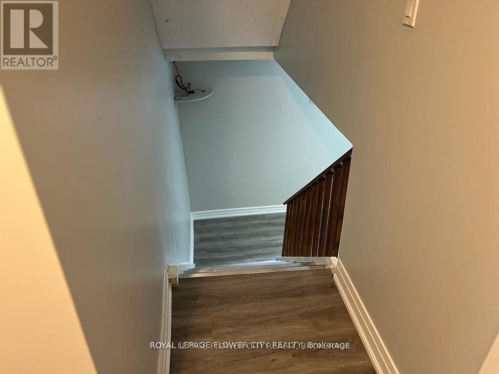 Basement - 12 Lorne Court, Brampton, Ontario  L6X 2P3 - Photo 13 - W12316739