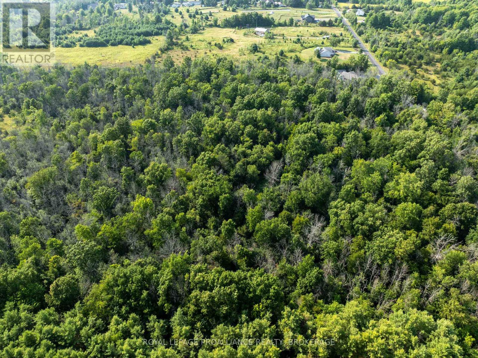 Pt Lt 6 Sunnyside Road, Rideau Lakes, Ontario  K0G 1X0 - Photo 10 - X12316994
