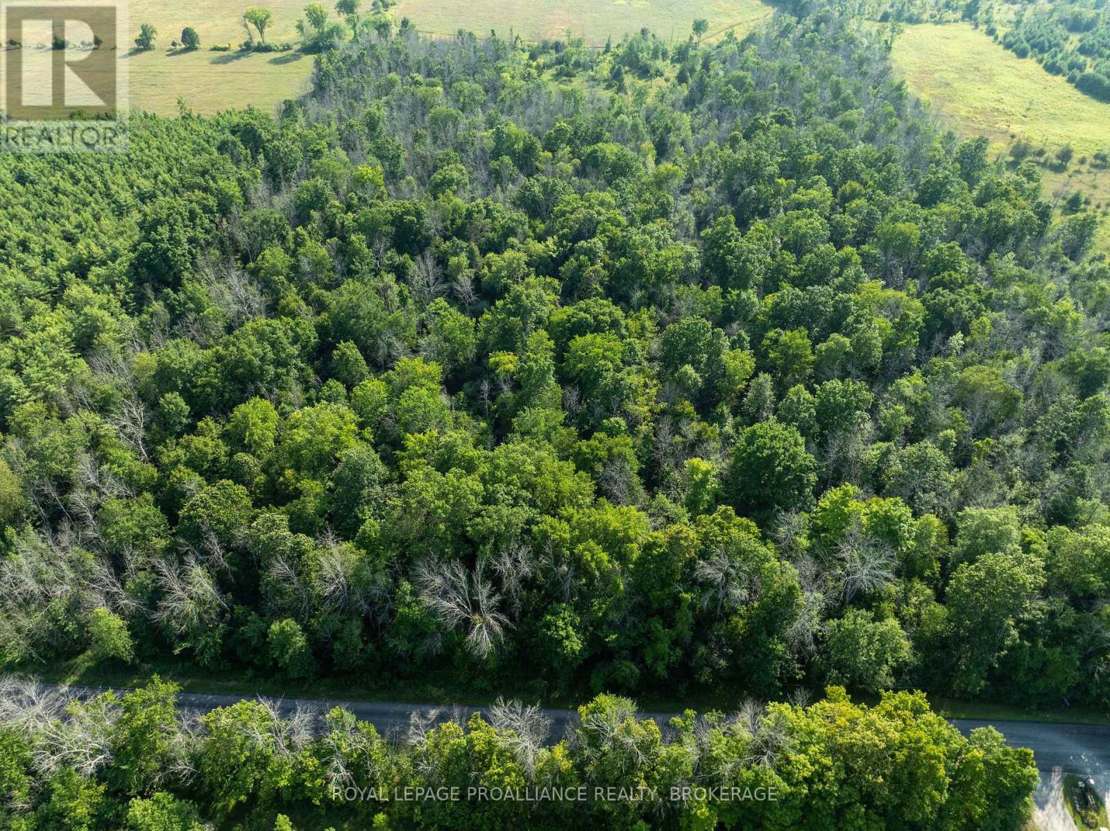 Pt Lt 6 Sunnyside Road, Rideau Lakes, Ontario  K0G 1X0 - Photo 4 - X12316994