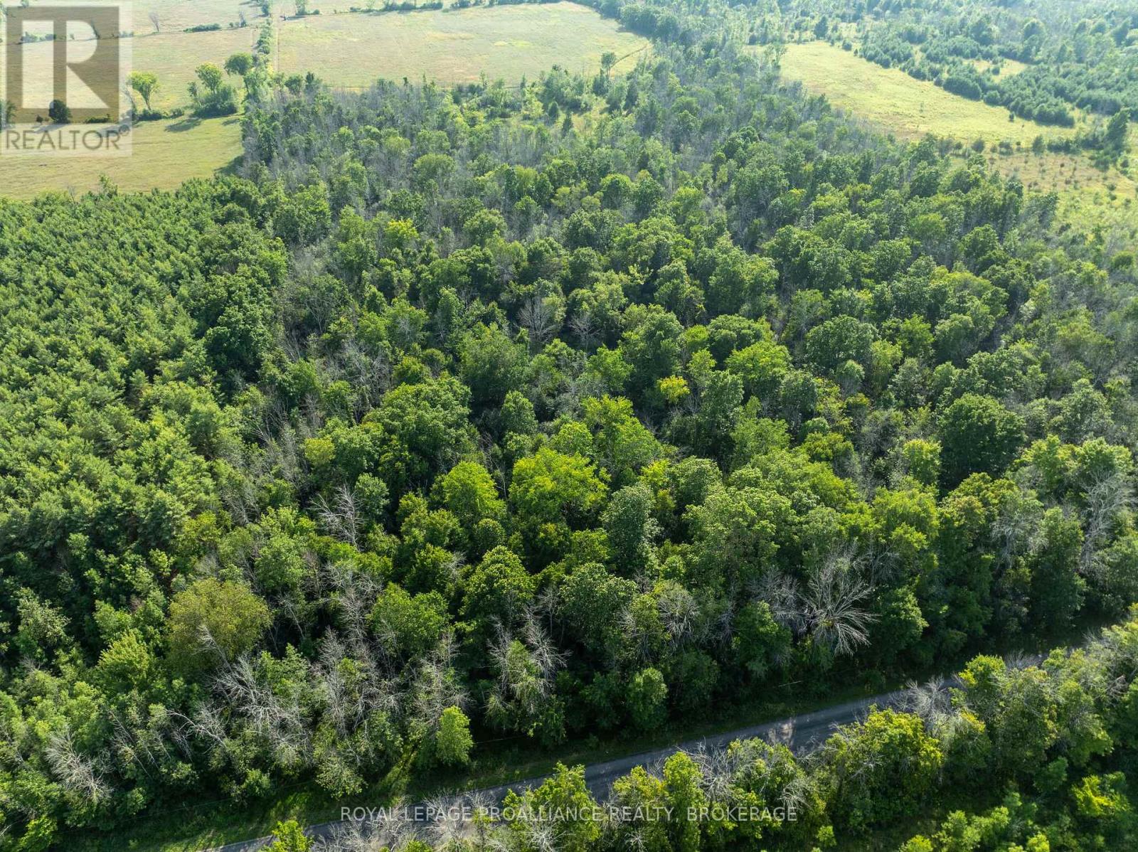 Pt Lt 6 Sunnyside Road, Rideau Lakes, Ontario  K0G 1X0 - Photo 5 - X12316994