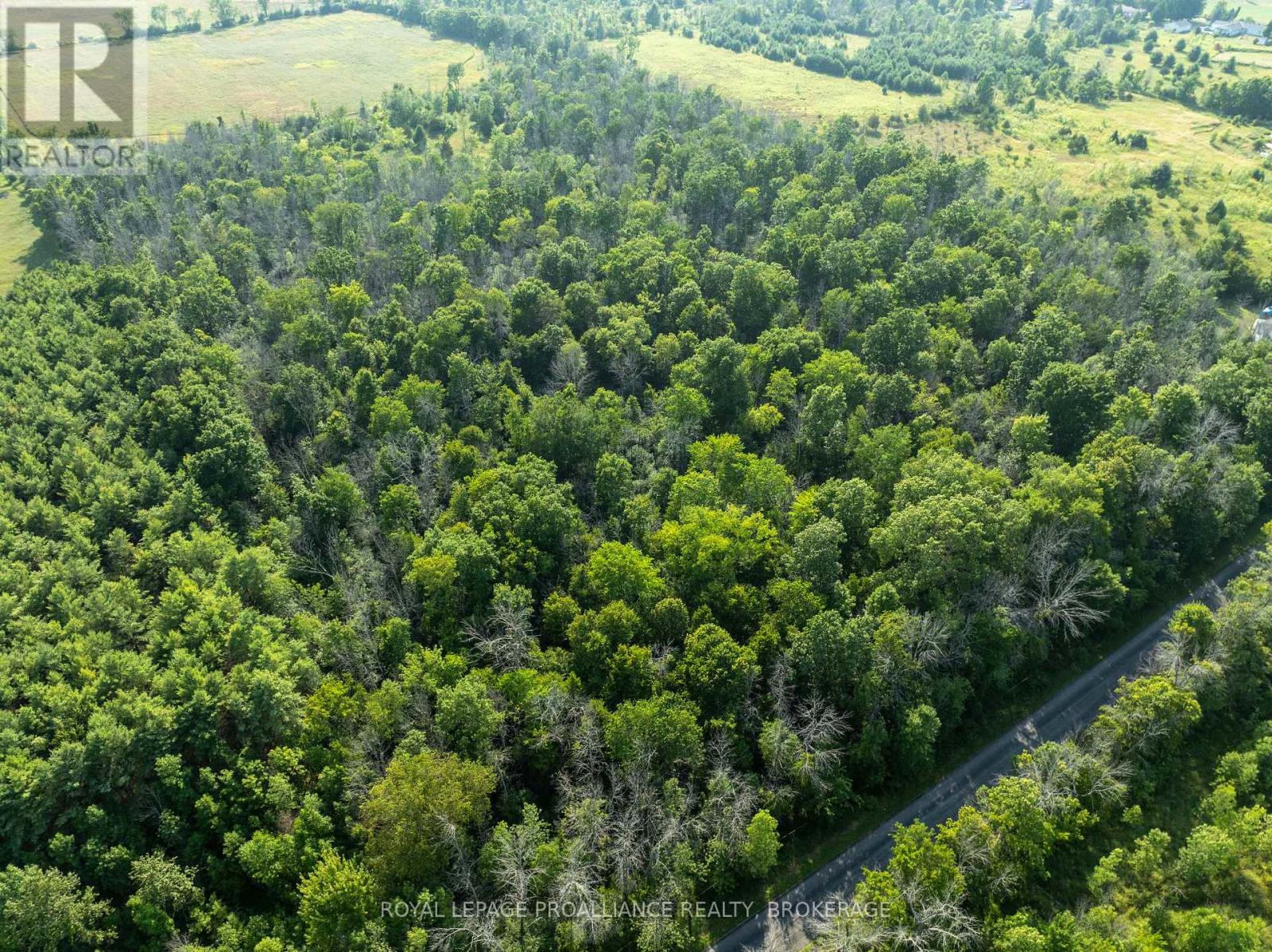 Pt Lt 6 Sunnyside Road, Rideau Lakes, Ontario  K0G 1X0 - Photo 6 - X12316994