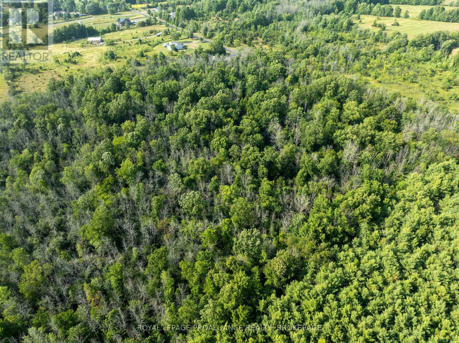 Pt Lt 6 Sunnyside Road, Rideau Lakes, Ontario  K0G 1X0 - Photo 9 - X12316994