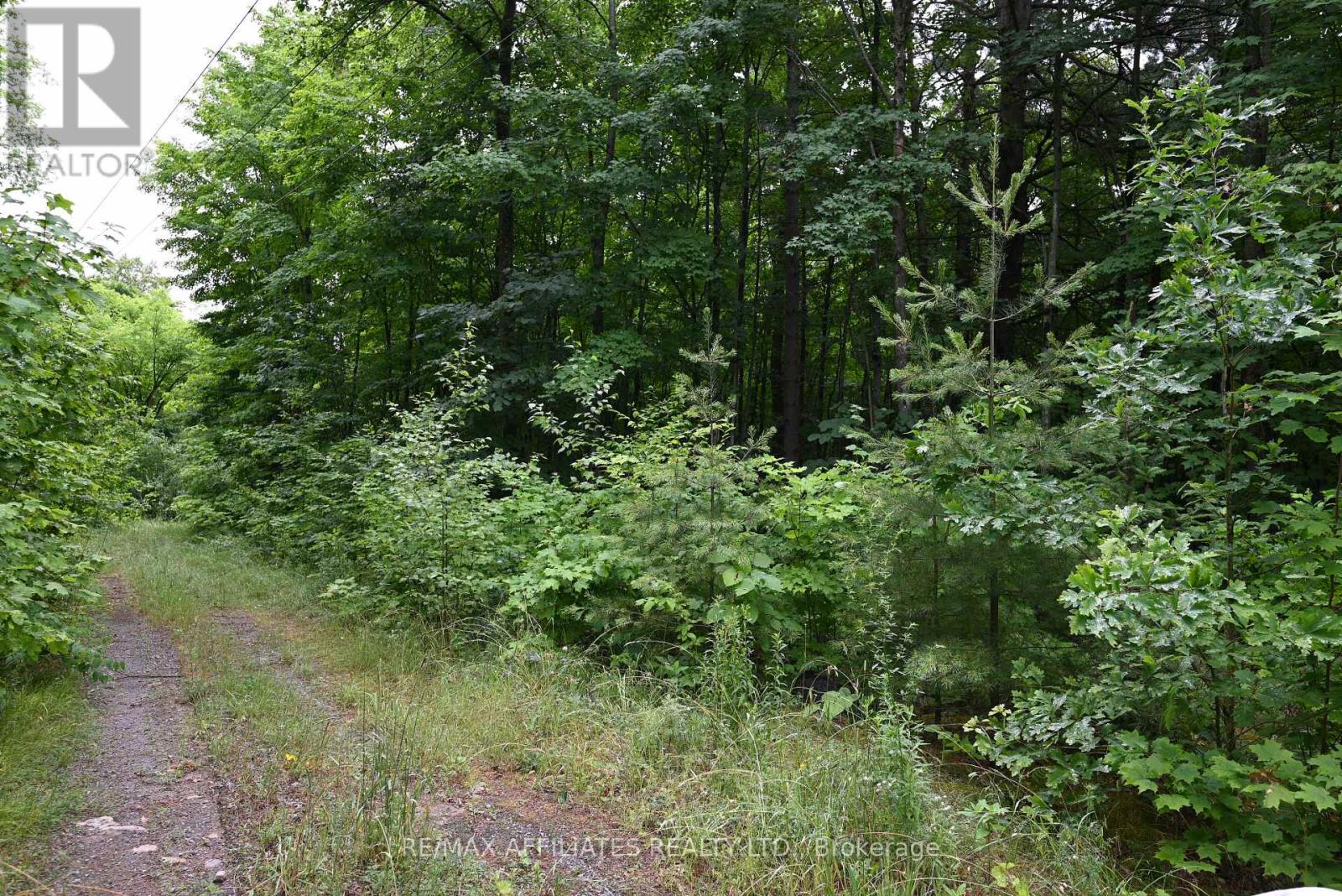 000 Highway 43 Highway, Drummond/north Elmsley, Ontario  K7A 4S4 - Photo 10 - X12274729