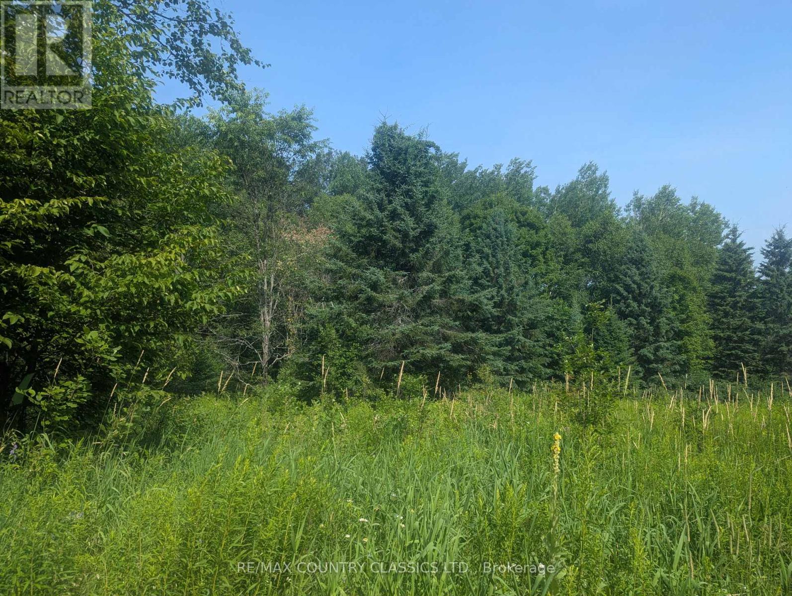 P4 Comerford Road, Brudenell, Ontario  K9J 2E0 - Photo 2 - X12296889