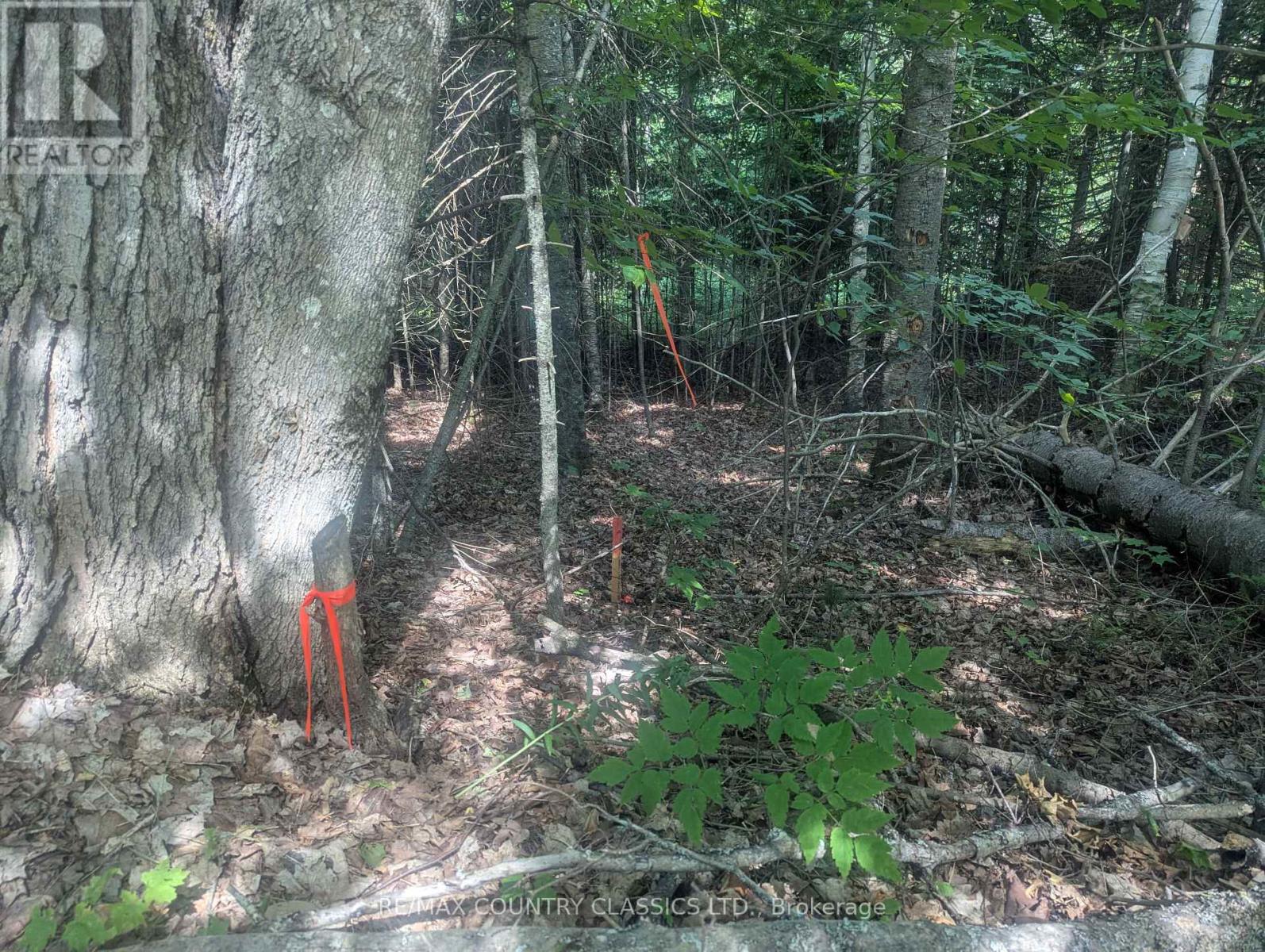 P4 Comerford Road, Brudenell, Ontario  K9J 2E0 - Photo 7 - X12296889