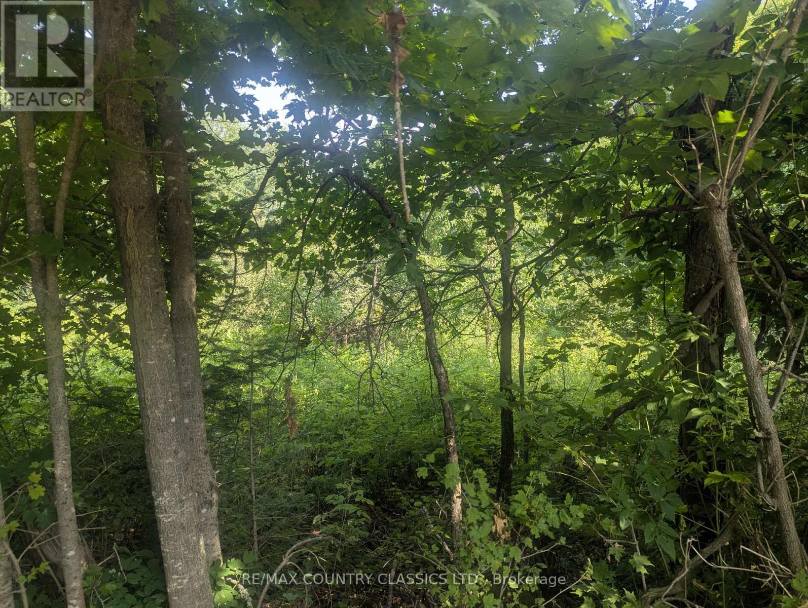 P4 Comerford Road, Brudenell, Ontario  K9J 2E0 - Photo 8 - X12296889