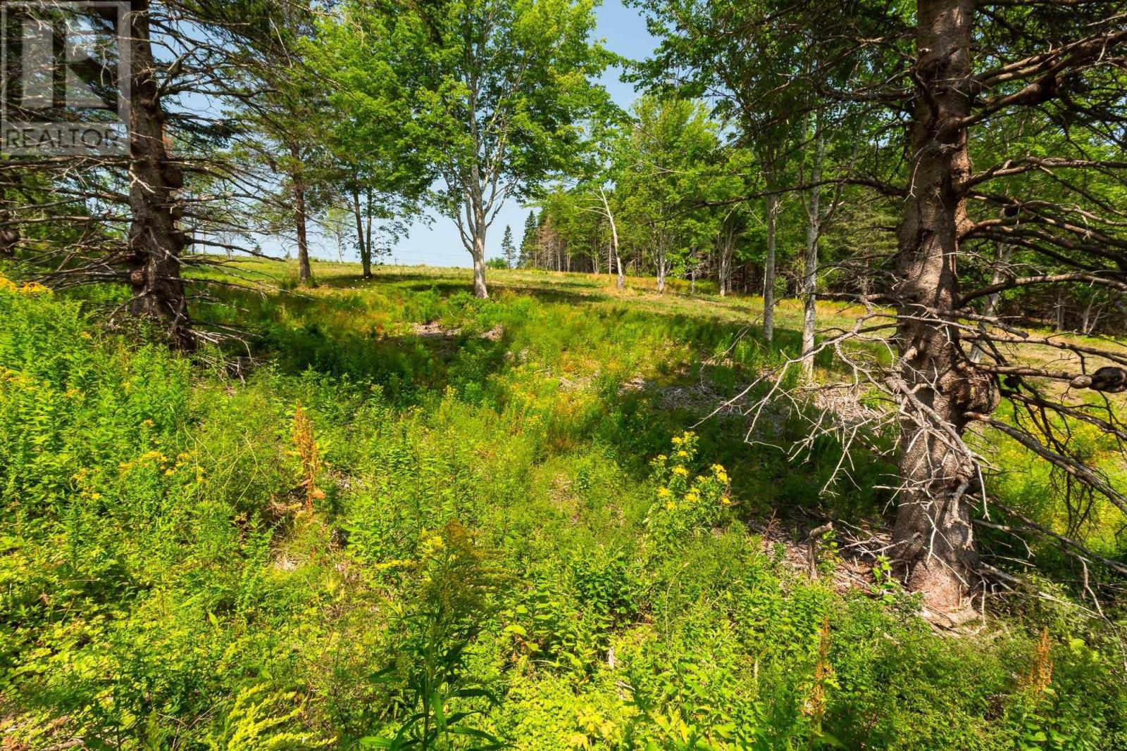 Lot 3 Highway 19, Hawleys Hill, Mabou, Nova Scotia  B0E 1X0 - Photo 10 - 202424380