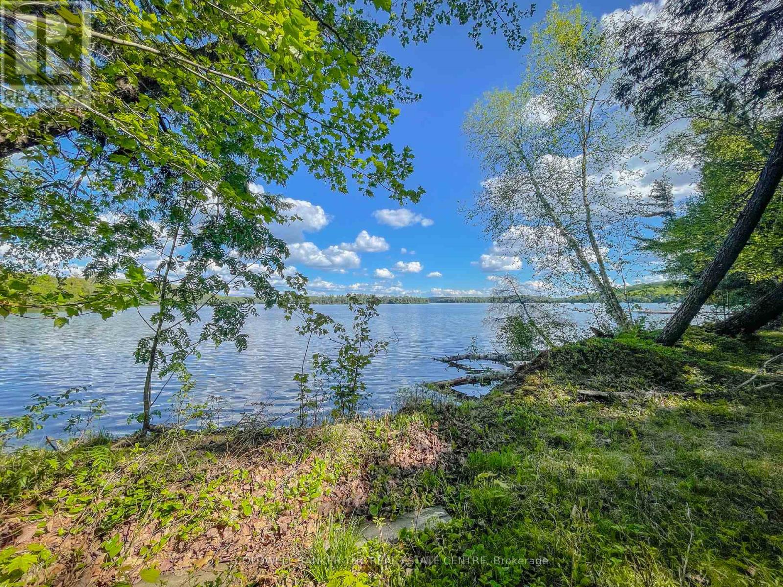 127 Blind Line, Armour, Ontario  P0A 1C0 - Photo 11 - X12143205