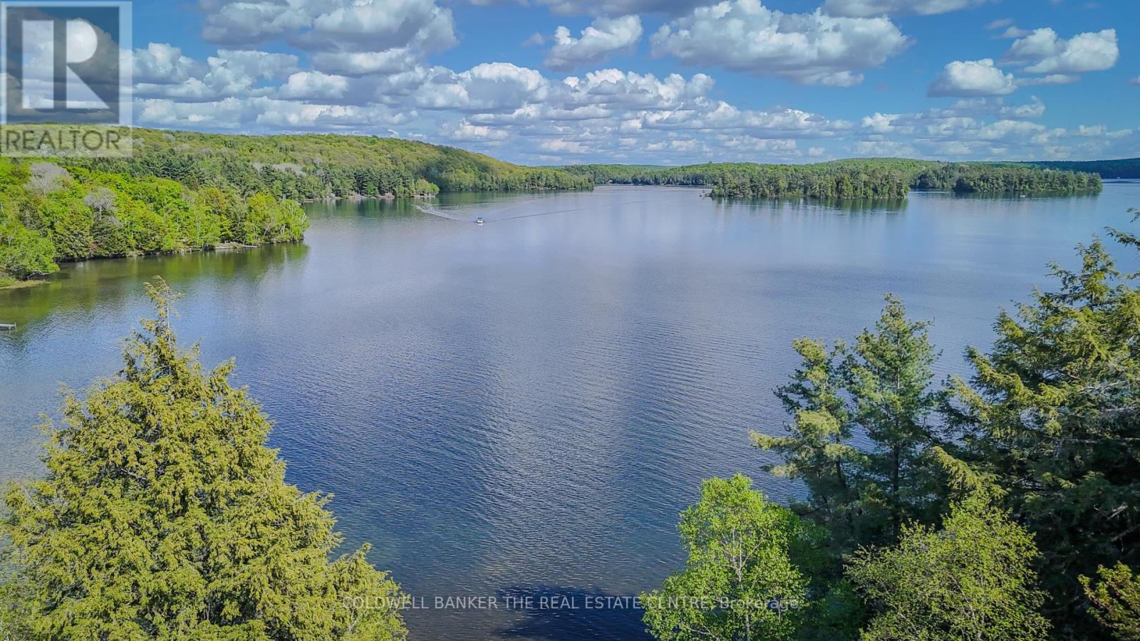127 Blind Line, Armour, Ontario  P0A 1C0 - Photo 27 - X12143205