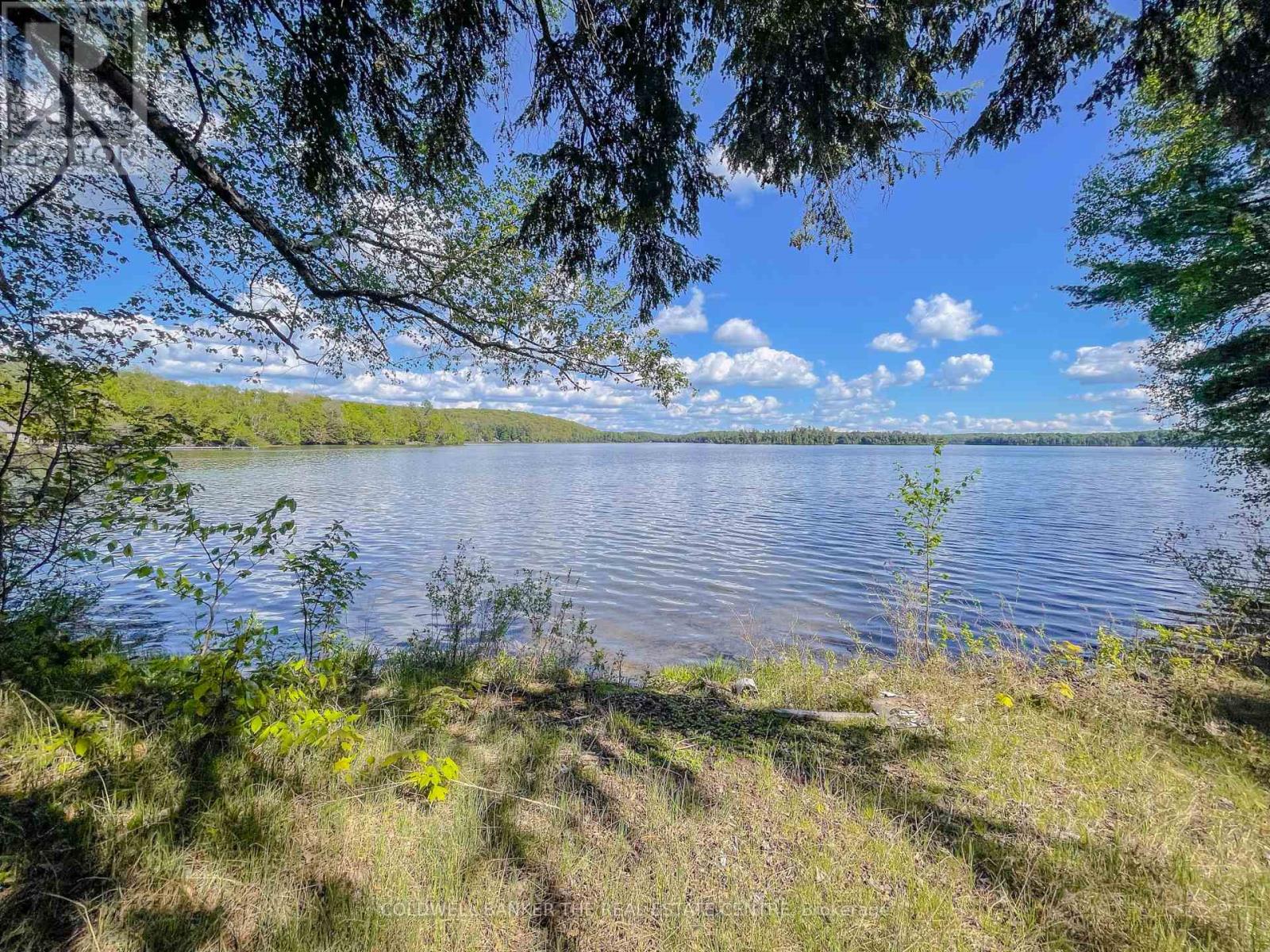 127 Blind Line, Armour, Ontario  P0A 1C0 - Photo 7 - X12143205