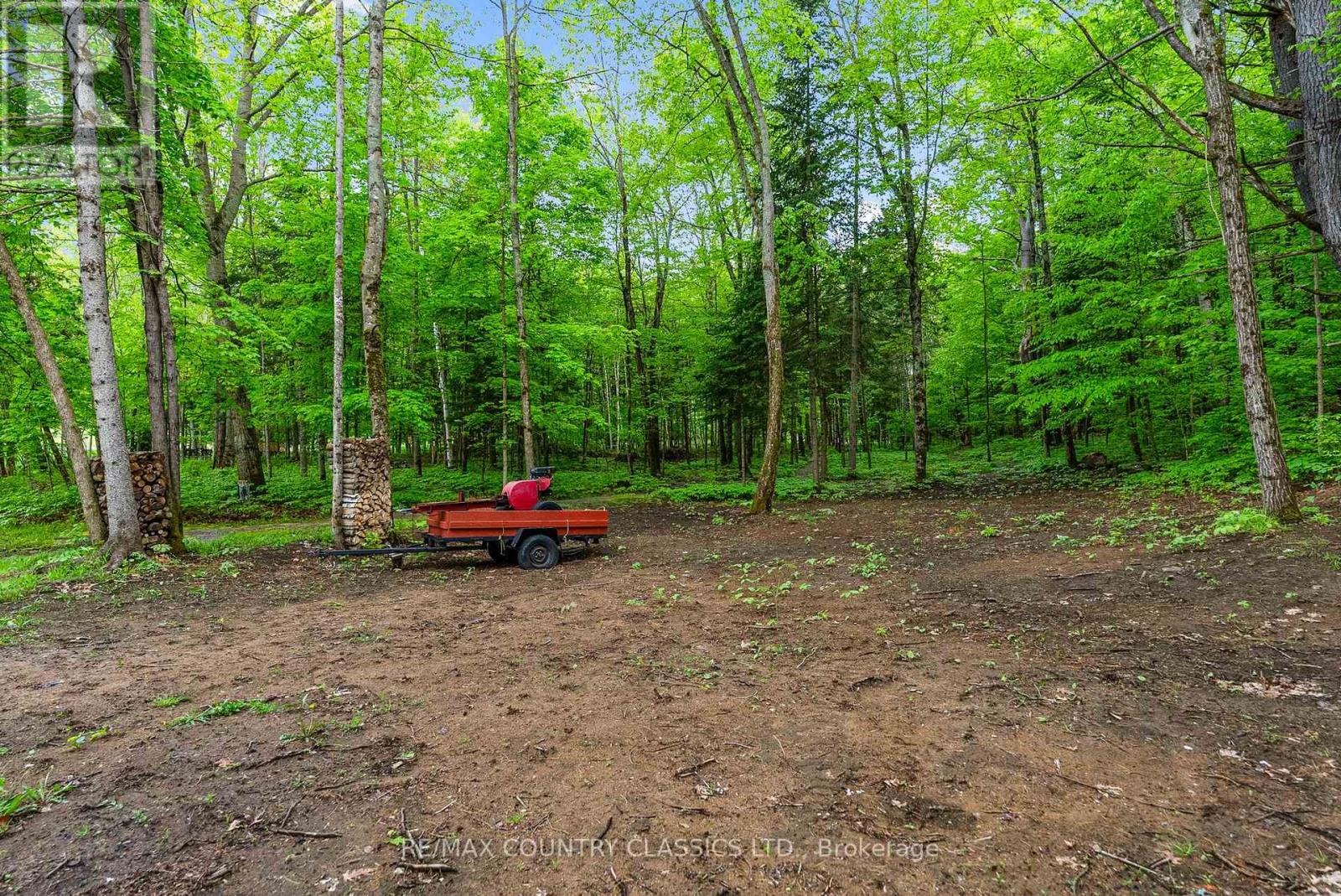 Property at 351 CHEMAUSHGON ROAD image 5