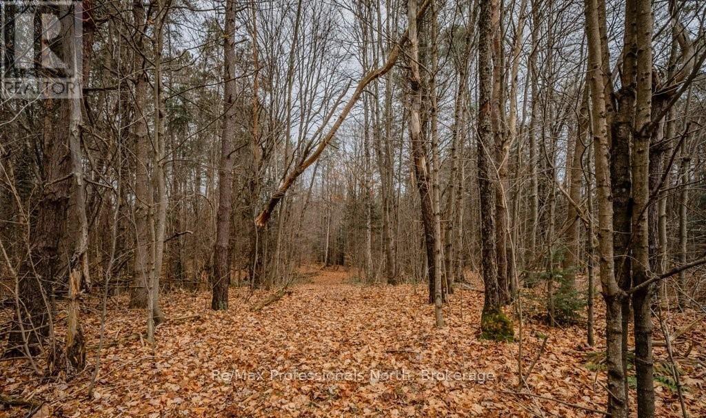 2180-2186 Highway 141, Muskoka Lakes (Watt), Ontario  P0B 1L0 - Photo 10 - X12317053