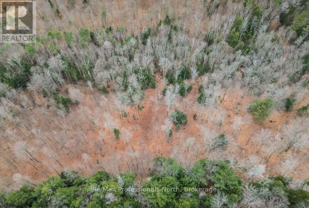 2180-2186 Highway 141, Muskoka Lakes (Watt), Ontario  P0B 1L0 - Photo 43 - X12317053