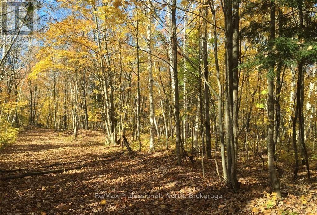 2180-2186 Highway 141, Muskoka Lakes (Watt), Ontario  P0B 1L0 - Photo 5 - X12317053