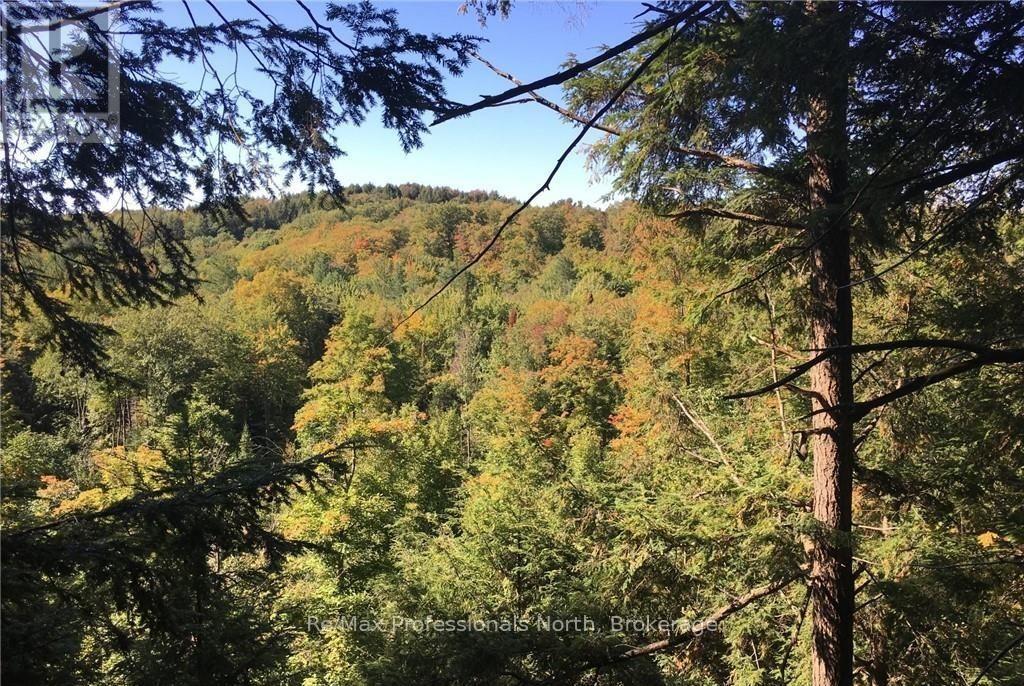 2180-2186 Highway 141, Muskoka Lakes (Watt), Ontario  P0B 1L0 - Photo 6 - X12317053