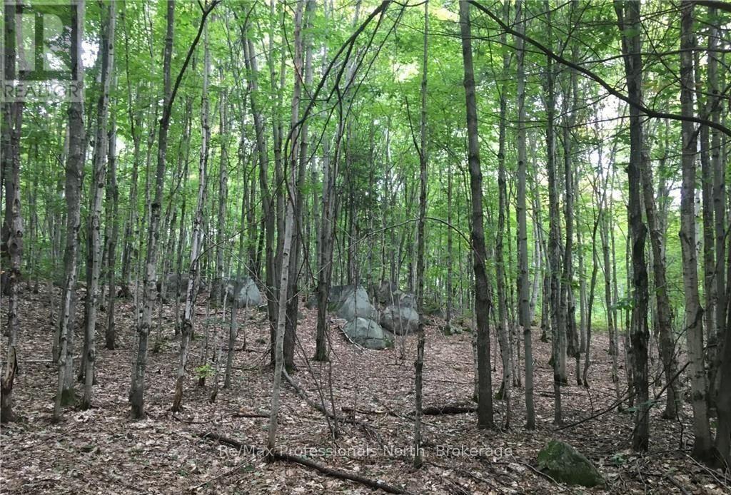 2180-2186 Highway 141, Muskoka Lakes (Watt), Ontario  P0B 1L0 - Photo 7 - X12317053