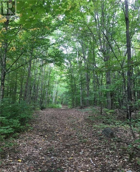 2180-2186 Highway 141, Muskoka Lakes (Watt), Ontario  P0B 1L0 - Photo 8 - X12317053