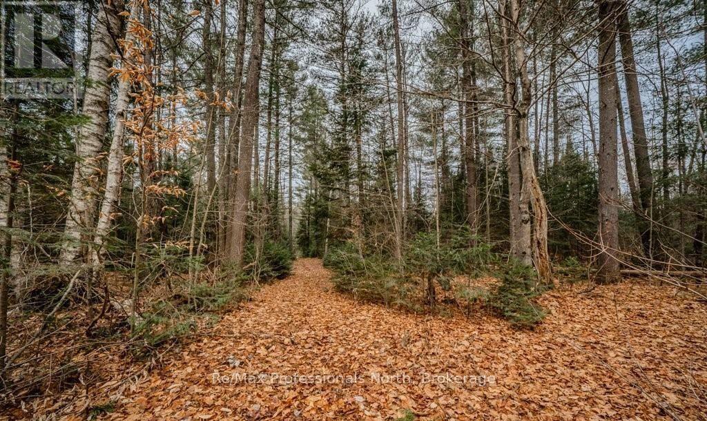 2180-2186 Highway 141, Muskoka Lakes (Watt), Ontario  P0B 1L0 - Photo 9 - X12317053